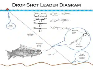 drop shot nymphing leader diagram