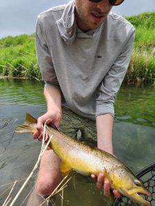 You are standing in a trout filled pool, you’ve established that trout are not rising therefore nymphing is probably your best bet. You put together your standard nymph leader with a couple of nymph patterns suggested by the local fly shop, clamp on a split shot and attach the ever popular Thingamabobber to let you know when a trout has taken one of your offerings; pretty straight forward. You step in to the water with hope and anticipation and proceed to casting upstream mending as necessary and watching your bobber like a hawk, ready to set hook at the slightest of twitches. You catch a couple of nice trout, but notice the guy in the run above you is hooking a trout on every other cast or better at times! You frantically change flies trying to figure out what the angler in the pool above you is using. You add more weight only to hang your flies on most presentations. You change to lighter tippet, you go longer, shorter…the guy above you keeps hooking fish. By this point you are frustrated to find the answer. The problem, even though your standard in- line weighted nymphing leader is catching a few fish, is that you are not fishing the flies at the preferred feeding depth throughout the drift, often drifting over the fishes feeding depth. If you are not reaching the feeding zone, the standard old school nymphing technique is inefficient.Fly Fishing Tips: How to tie a "Drop Shot"Here’s how to tie a “Drop Shot” or “Pogo” nymphing leader that will catch more fish than you ever thought possible:Use fluorocarbon material, it’s virtually invisible, stronger, and it sinks better than mono. Gauge the overall length of your leader as one and a half times the depth of the water.You can tie segments of tippet together using double or triple surgeon’s knots or double blood knots. Tie the fly to the downward hanging tag end of the knot, keeping the tag 3 inches or less so as not to spin around the main leader. I use a slightly heavier main leader with lighter tag end dropper loops at the fore mentioned depths.This technique allows you to maintain the leader and not have to re tie the whole thing when you need to change flies or if one does get hung up, it will only break the short tag end.Attach your indicator 10-12” or so from the tip of the fly line, so that when you mend you don’t bump the indicator as much.Attach the weight at the very bottom of the leader. Start with an extra 50 percent of weight that you normally use. Tie a couple of over hand knot’s right at the end of the leader to stop the   weight from sliding off. Add weight until you see the indicator twitching a little as it drifts.Tie your nymphs off on short (2-3 inch) tag end dropper’s at 15” and 20” above the weight using tippet.This technique allows you to maintain the leader and not have to re tie the whole thing when you need to change flies or if one does get hung up, it will only break the short tag.Use no-slip mono loops as the terminal knot; it allows more movement and is stronger than an improved clinch knot.See a bigger diagram here.This leader also works better than an in-line rig on grassy and snaggy river bottoms too as it picks the flies up off the bottom keeping them from getting hung up. So expect to spend less on flies. More for beer!Fly Fishing Tips: How to fish itAvoid over-head casting if at all possible. The weight will eventually hit you or your rod possibly breaking it or both! Instead use water loaded casts, rolling your leader downstream to straighten it out before presenting up stream again if there is slack between the rod tip and the end of the leader.Start the cast stroke by picking the weight up off the bottom (from down-stream) and get the indicator up off the water. Finish the cast as the water tension let go of the weight with an open loop lob up-stream.Don’t mend too soon. Allow the indicator to take up the slack and start pulling the weight along the bottom. When you do mend just mend to the end of the line, flopping the indicator over during mending will only cause the hang ups and cause you to miss strikes.Once the indicator has started leading the drift it, will twitch and wobble as the weight tickles the bottom, don’t set! The leader is doing its job by fixing the depth of the fly to the bottom of the river!When you get a strike, the bobber will just start swimming away or you will notice a fish jumping near you… and it’s most likely got your fly in its maw! Steve shows off a thug of a brown caught using a "drop shot" nymphing leader.Ok, now you know our favorite technique for nymphing, here's a link to our Top 12 Nymph Flies for Catching Trout which you might enjoy.  If you're interested in learning more or trying this technique for yourself, we have great success with this technique on the Madison River,  you can learn more about our Madison trips here.